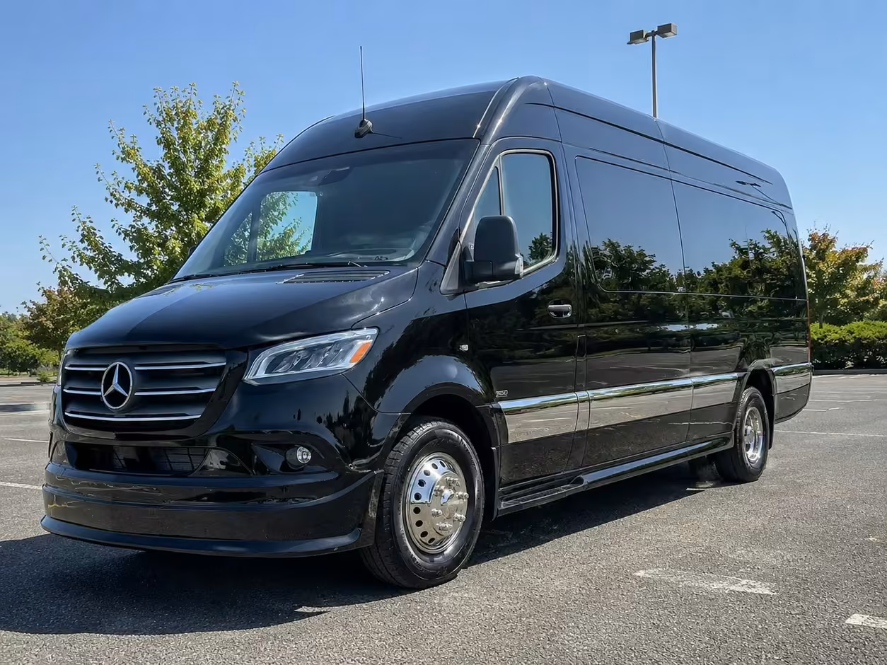 14 passenger sprinter limousine